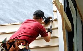 Best Historical Building Siding Restoration  in Norfolk, NE